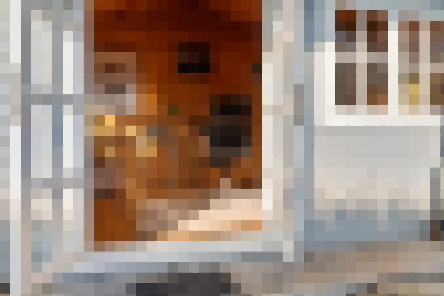 Meentweg 18 De Meern thumbnail 39