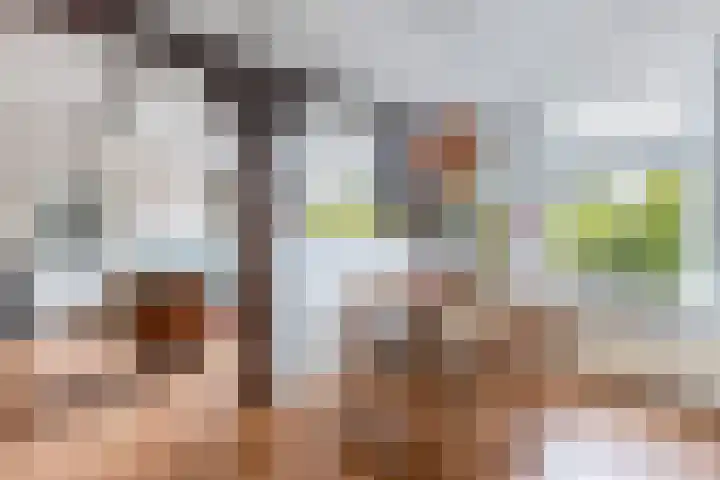 Meentweg 18 Huizen thumbnail 13