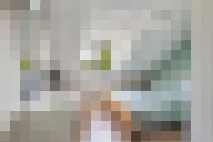 Meentweg 18 Huizen thumbnail 15