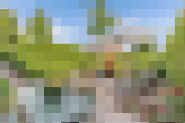 Meentweg 18 Huizen thumbnail 22