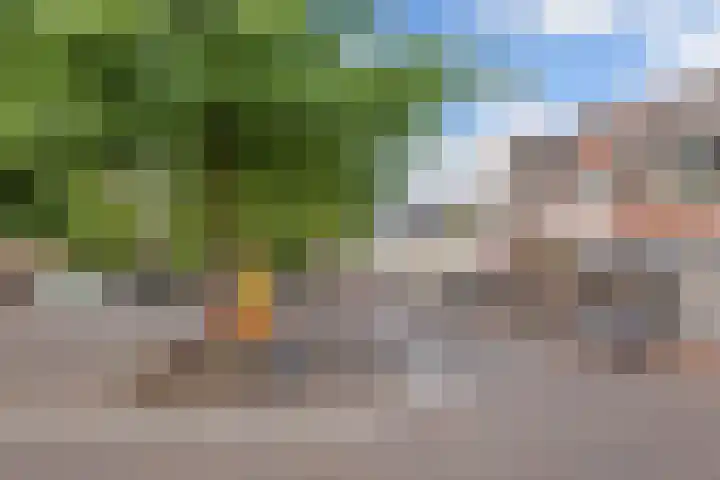 Meentweg 18 Huizen thumbnail 25