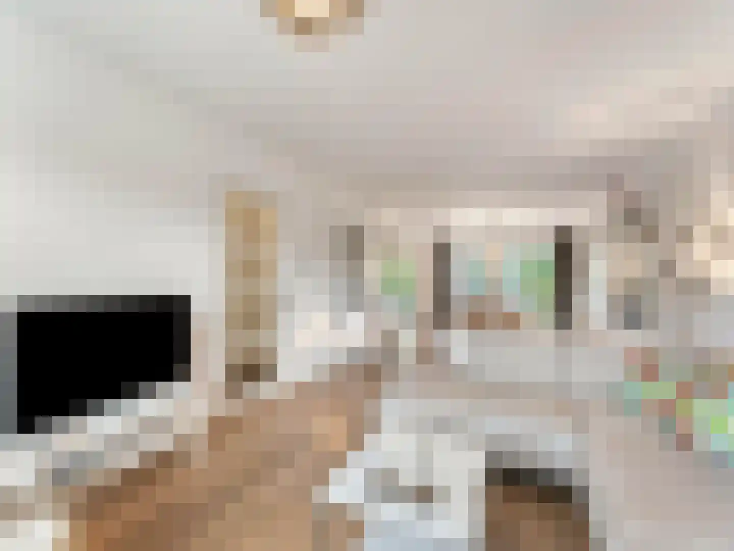 Meentweg 20 De Meern thumbnail 11