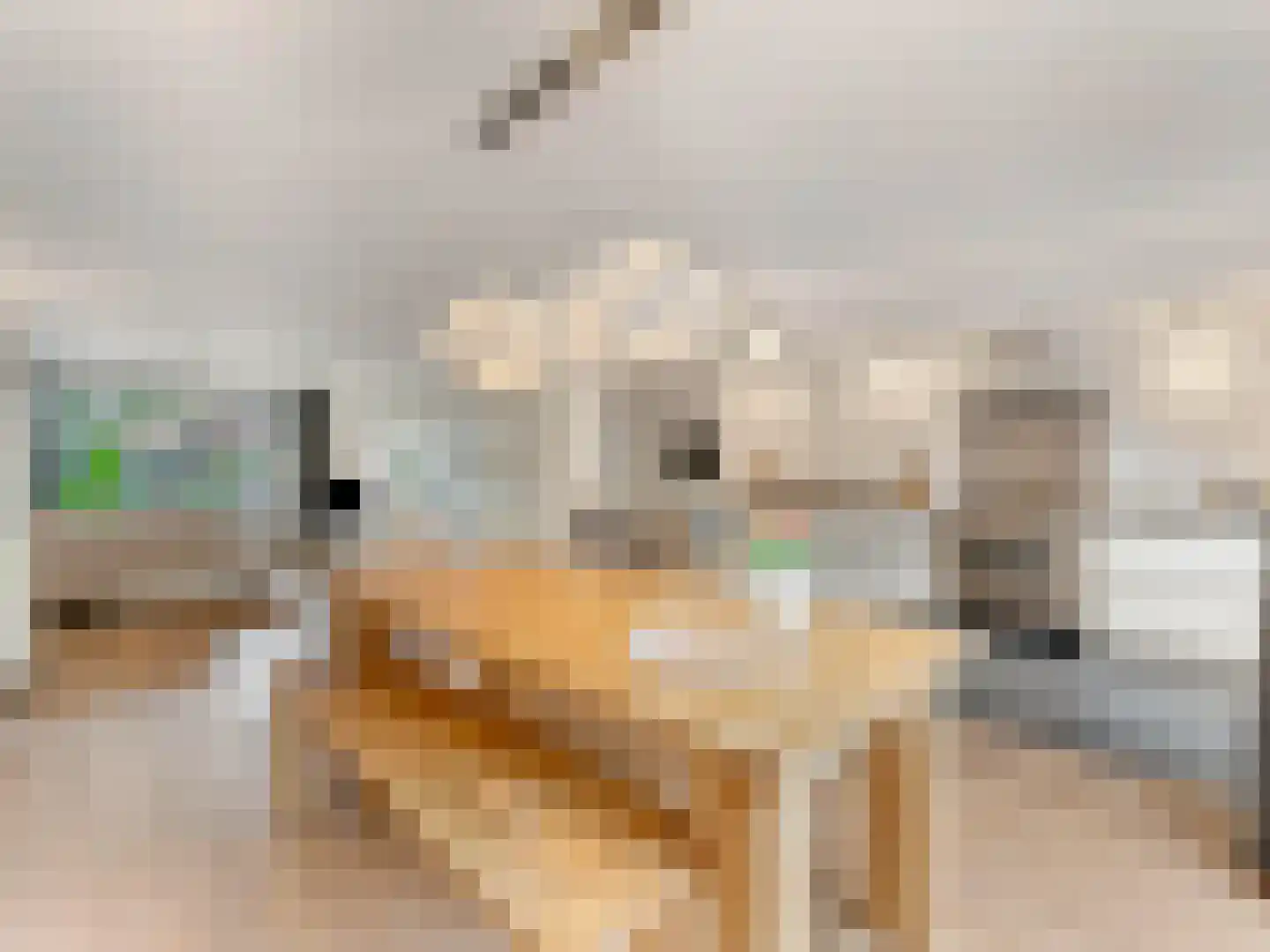 Meentweg 20 De Meern thumbnail 15