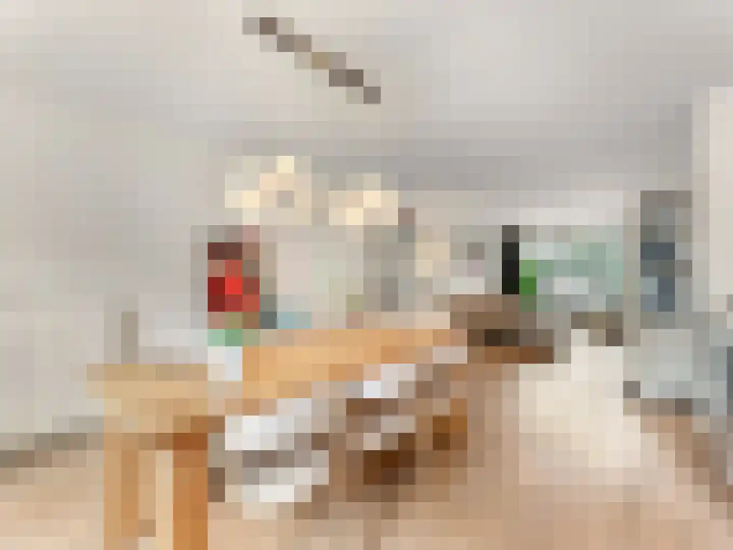 Meentweg 20 De Meern thumbnail 17