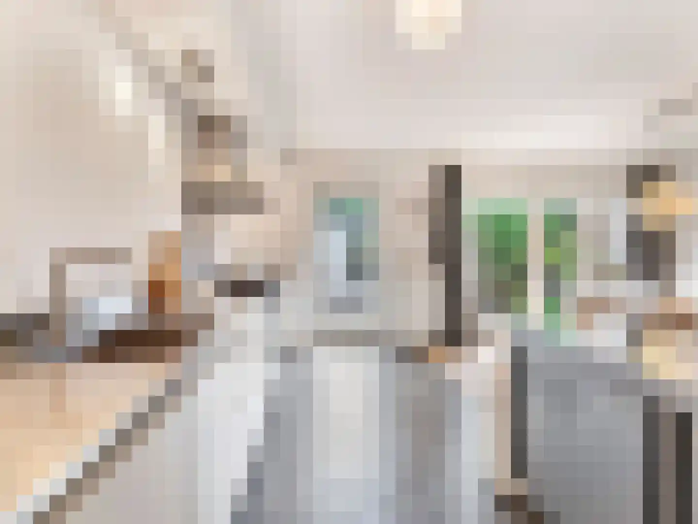 Meentweg 20 De Meern thumbnail 21