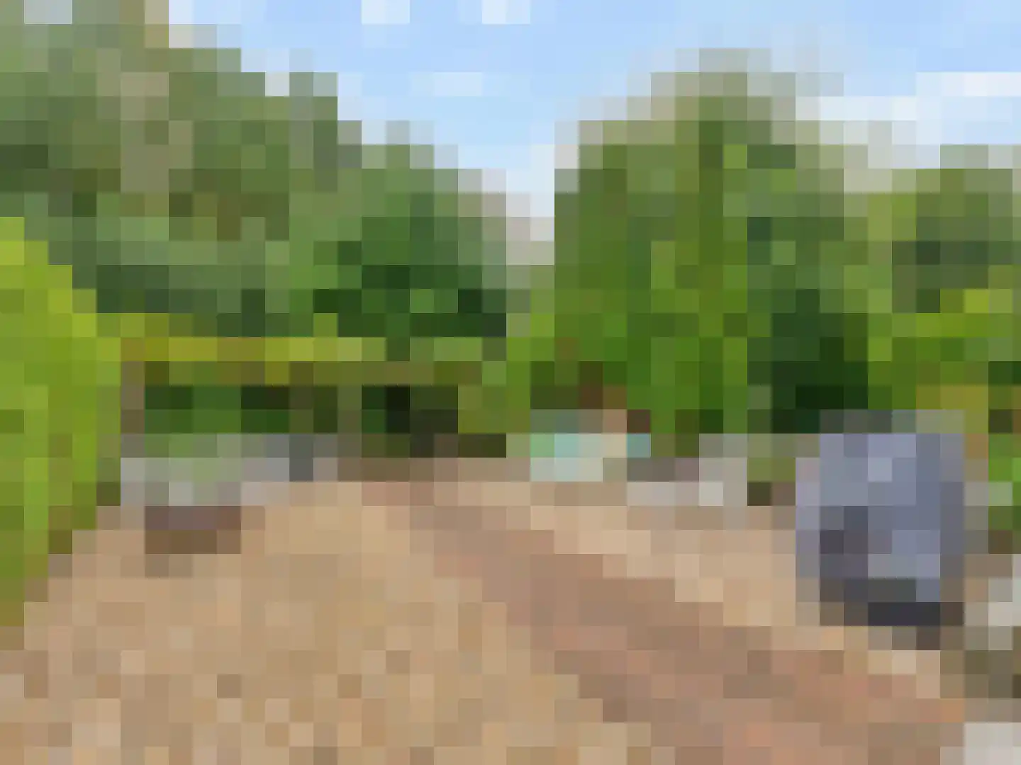 Meentweg 20 De Meern thumbnail 35