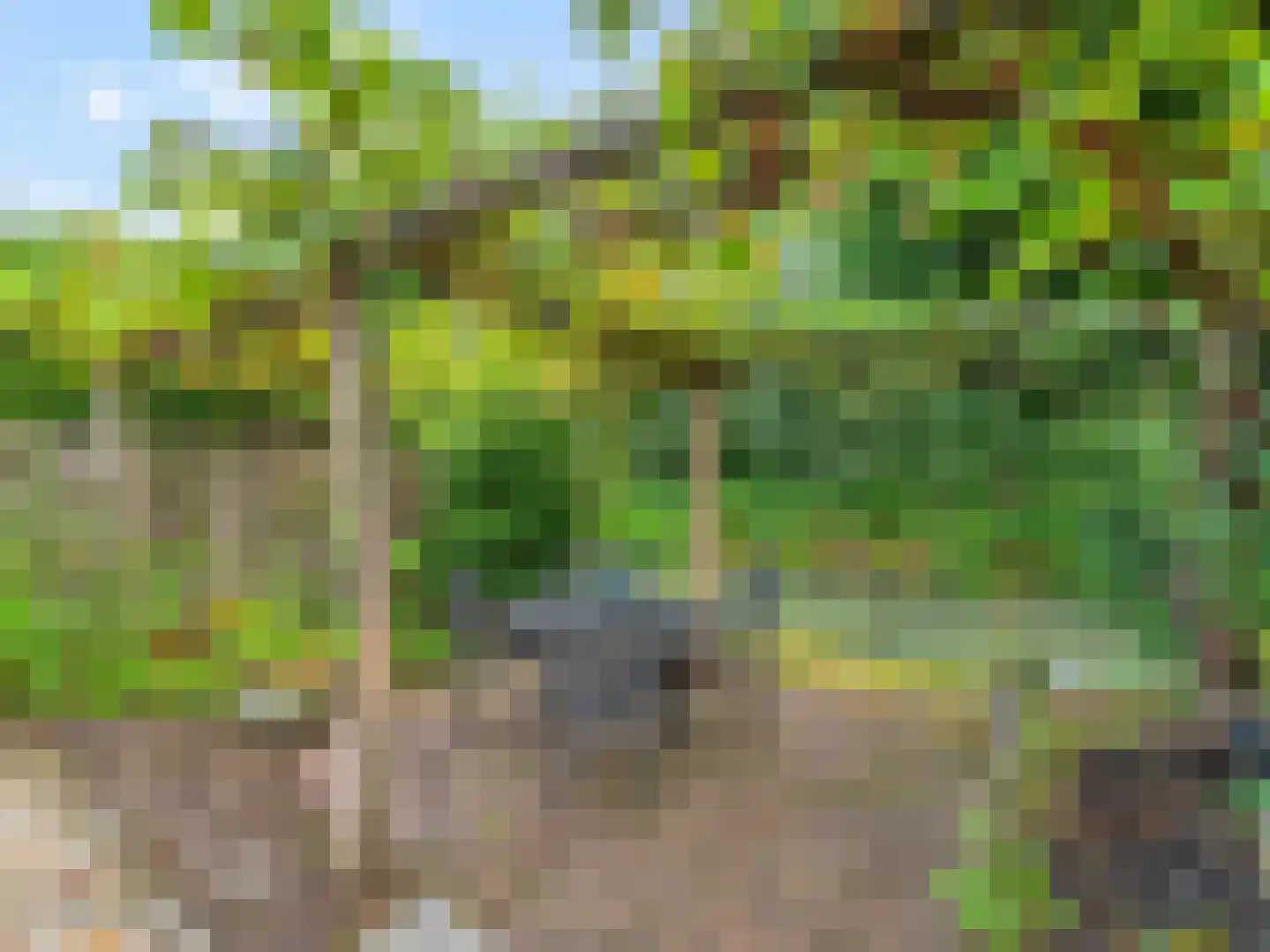 Meentweg 20 De Meern thumbnail 38
