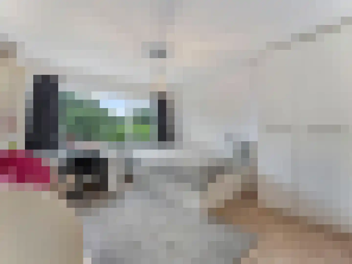 Meentweg 20 De Meern thumbnail 42