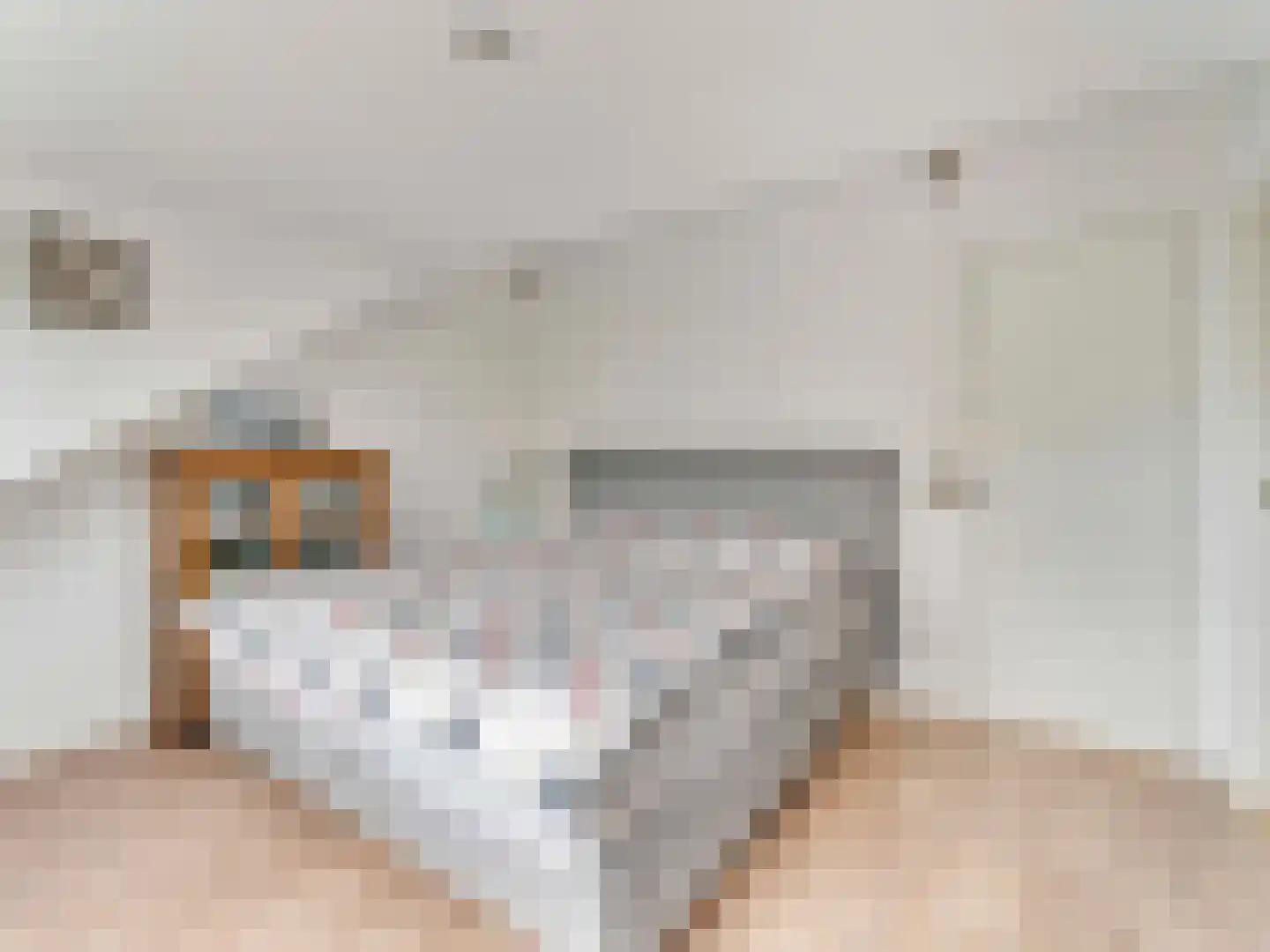 Meentweg 20 De Meern thumbnail 51