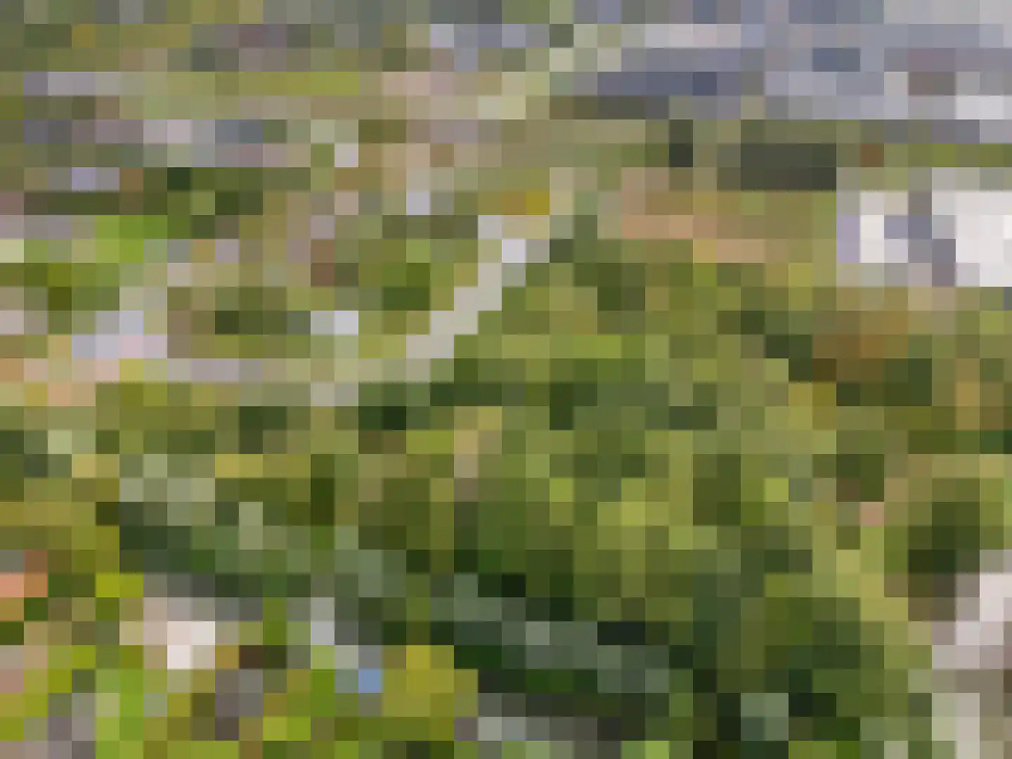 Meentweg 20 De Meern thumbnail 57
