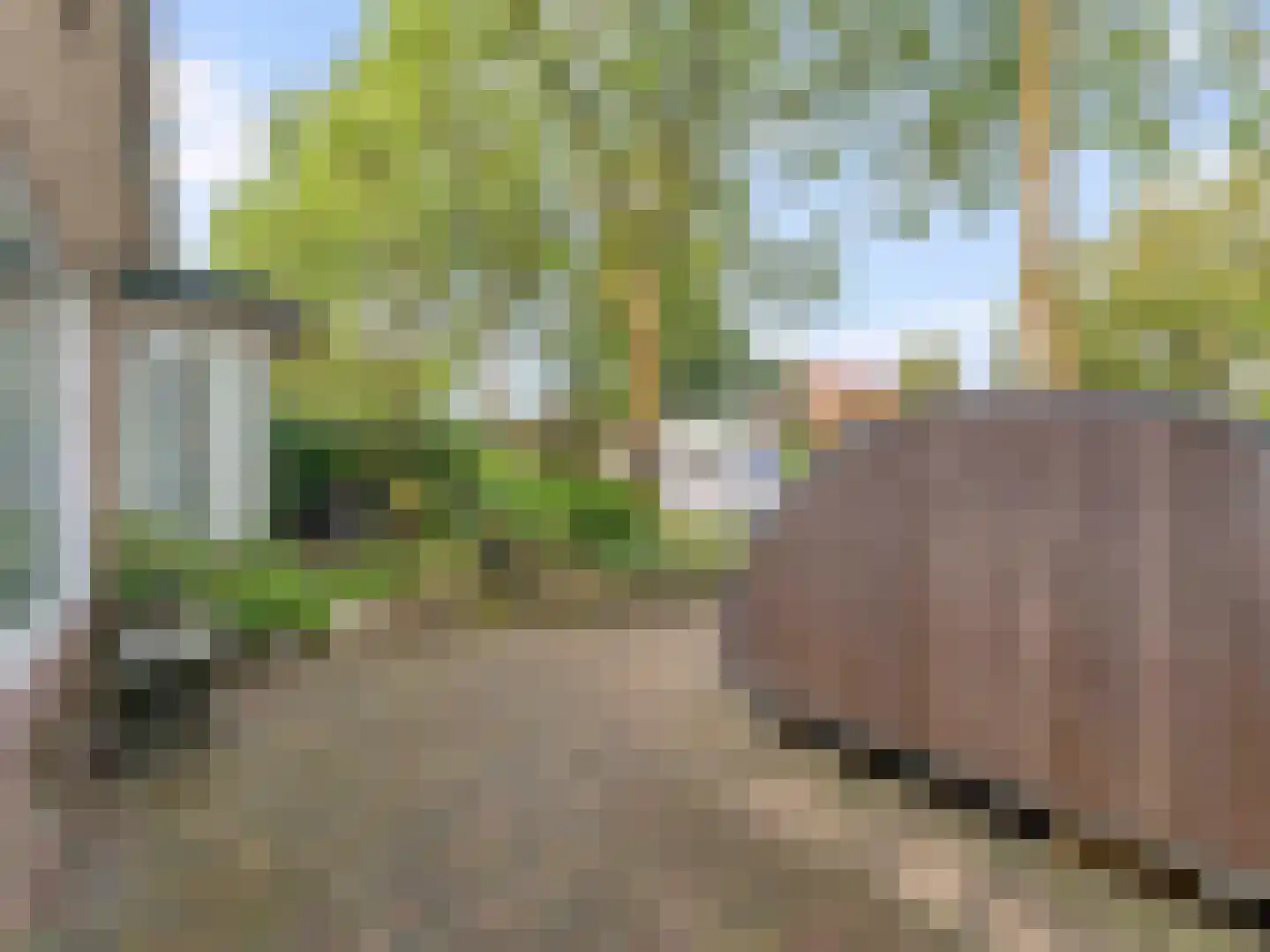 Meentweg 20 De Meern thumbnail 6