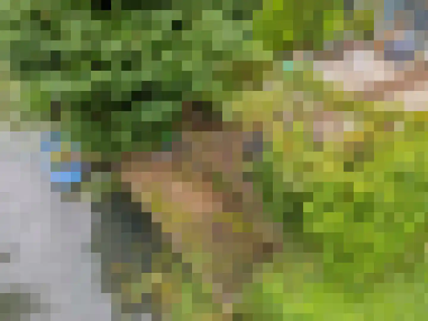 Meentweg 20 De Meern thumbnail 63