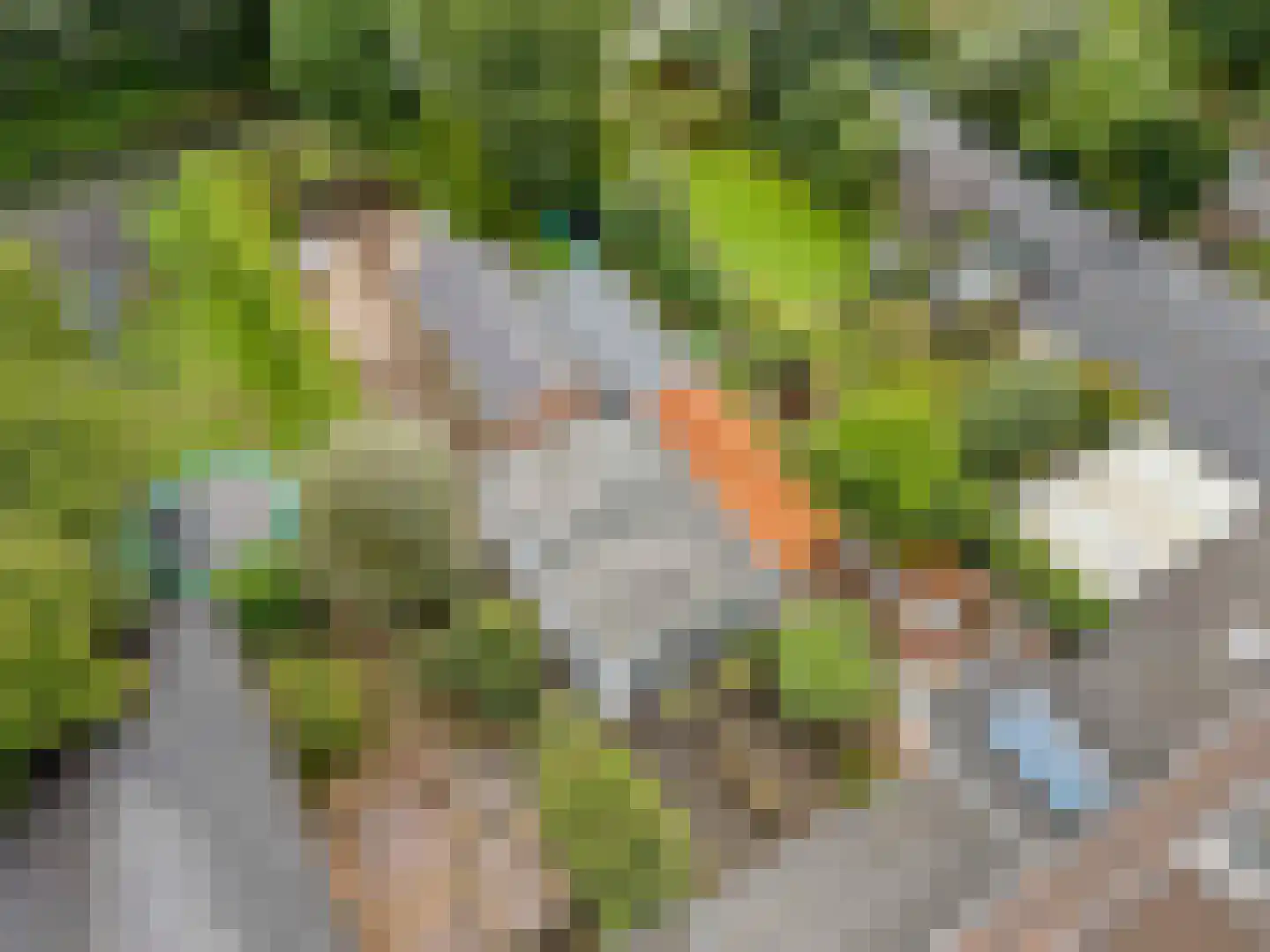 Meentweg 20 De Meern thumbnail 64