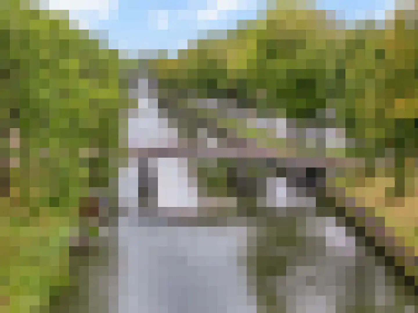 Meentweg 20 De Meern thumbnail 68