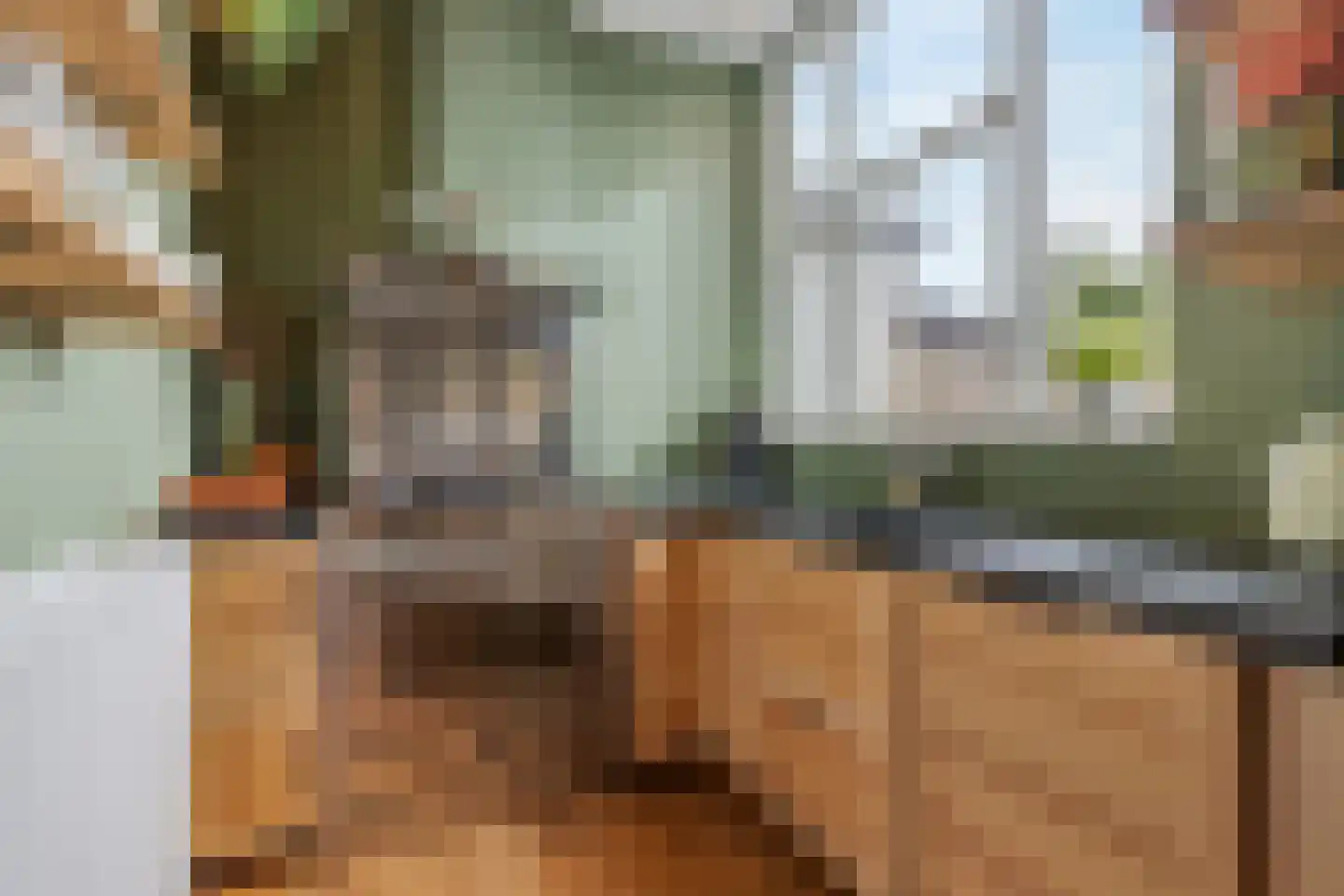 Meentweg 22 Bussum thumbnail 16