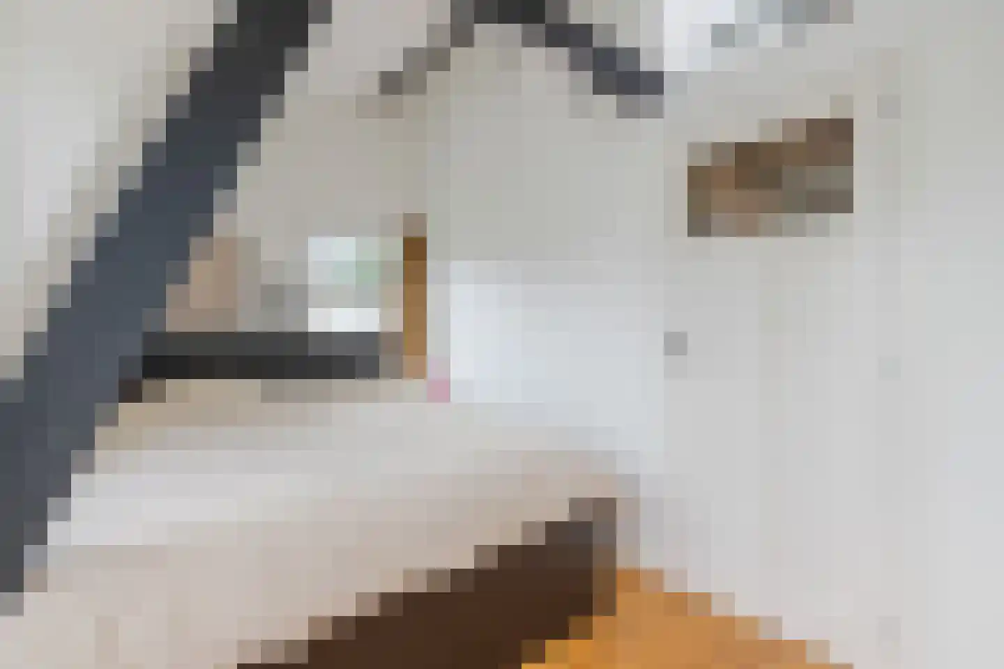 Meentweg 22 Bussum thumbnail 26