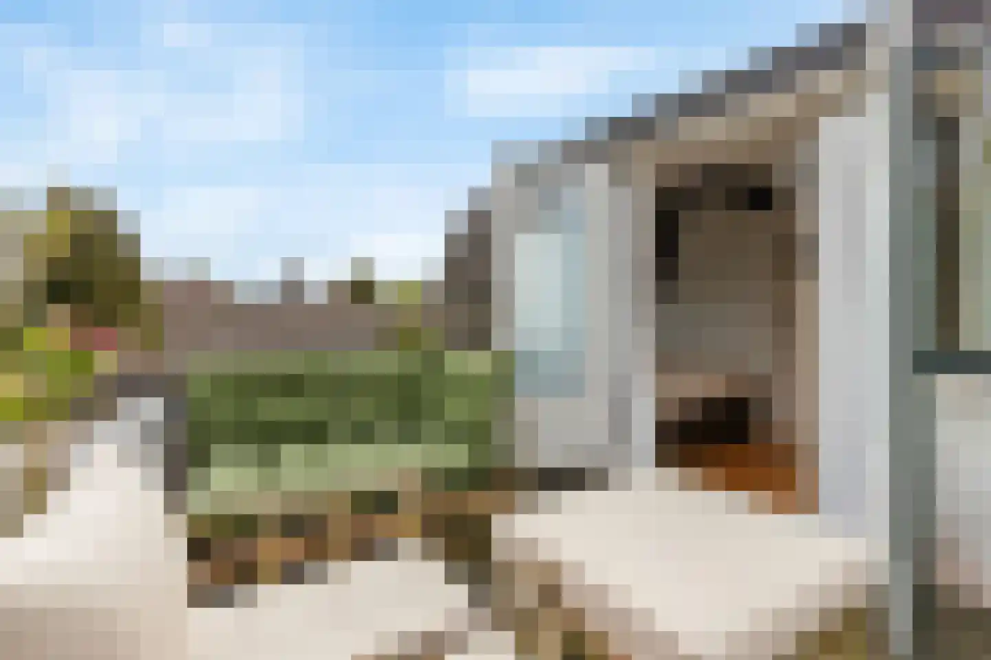 Meentweg 22 Bussum thumbnail 31
