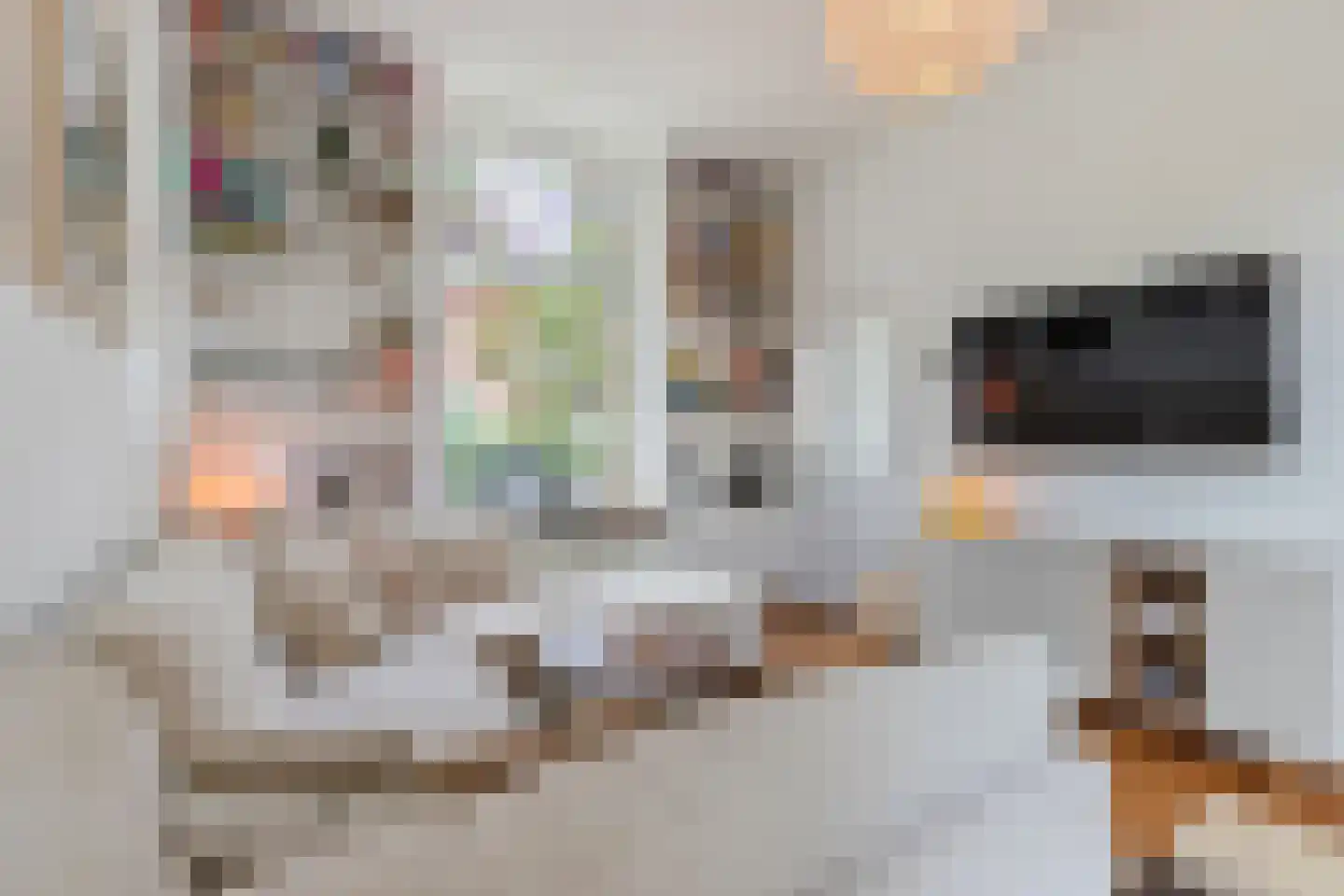 Meentweg 22 Bussum thumbnail 8