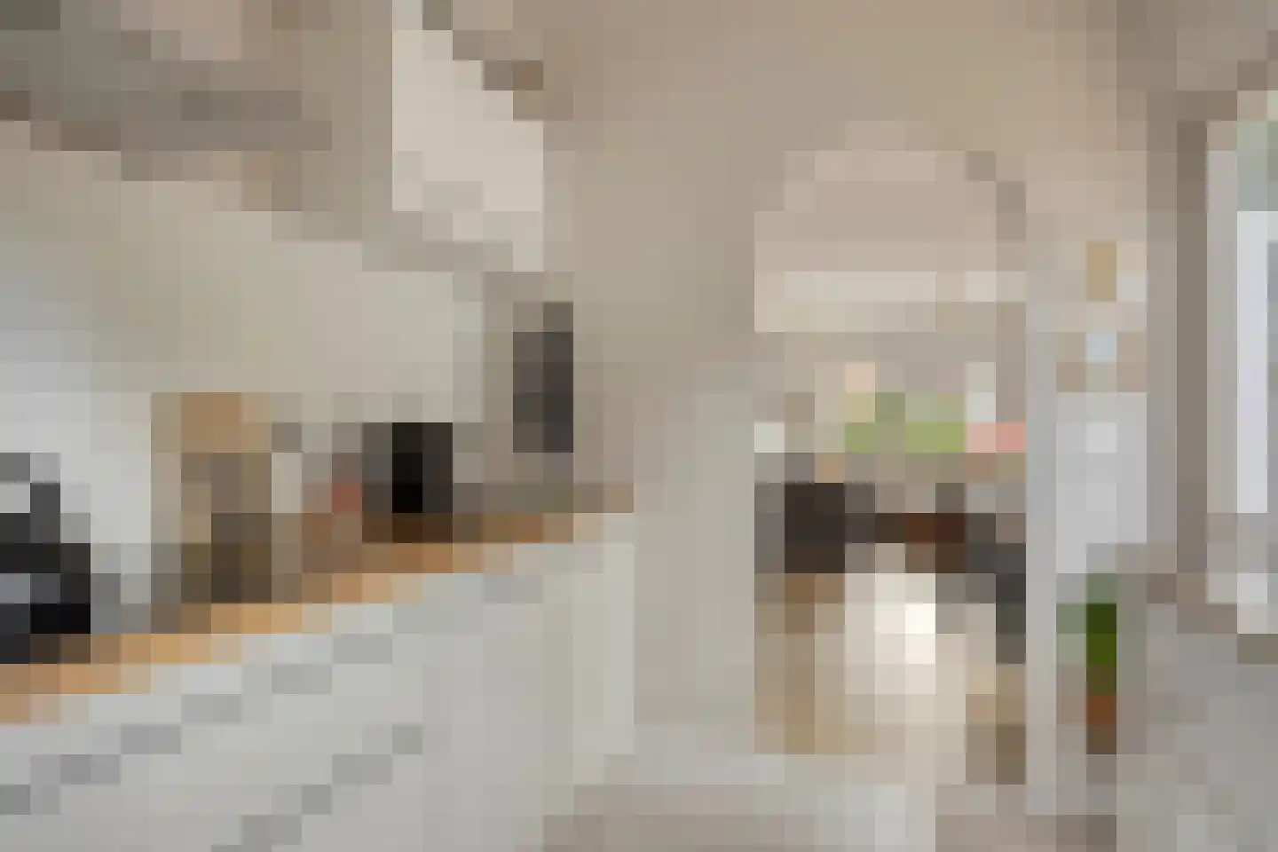Meentweg 24 Bussum thumbnail 14