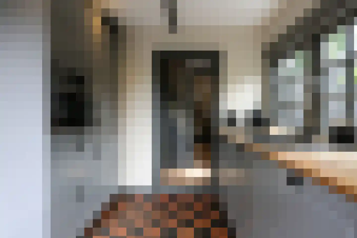 Meentweg 3 Blaricum thumbnail 13