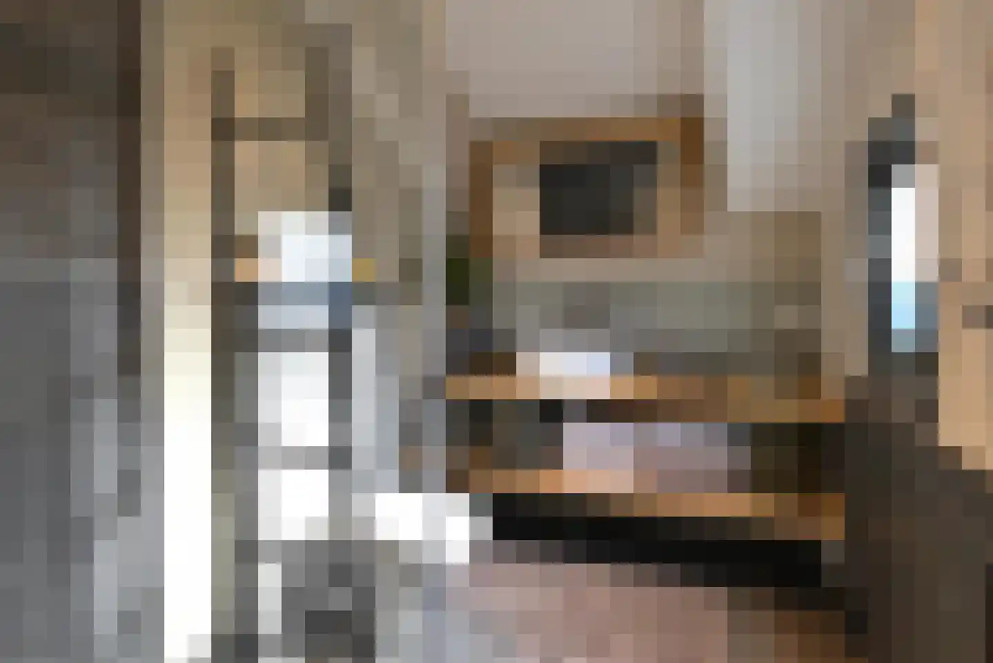 Meentweg 3 Blaricum thumbnail 14