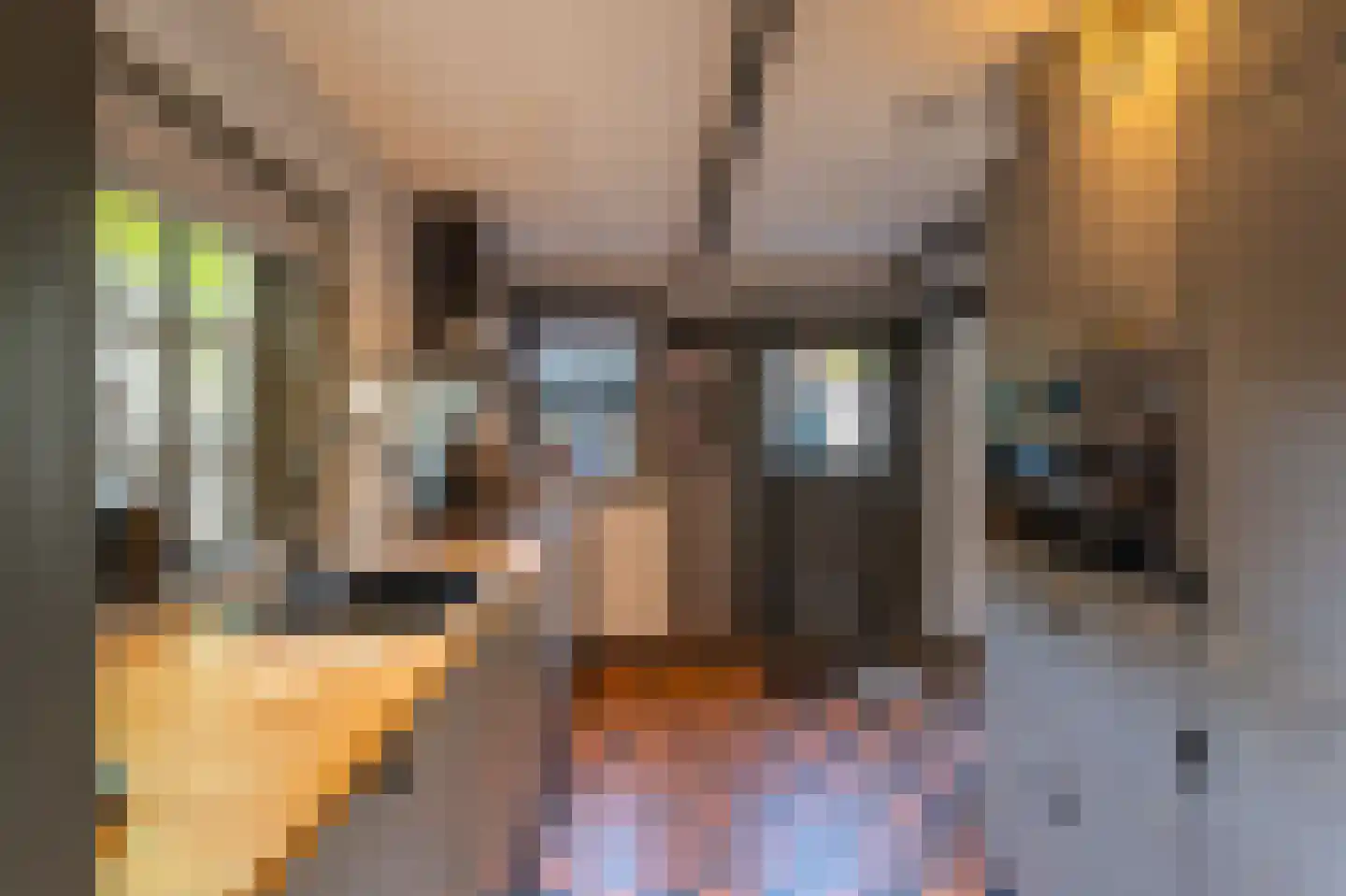 Meentweg 3 Blaricum thumbnail 18