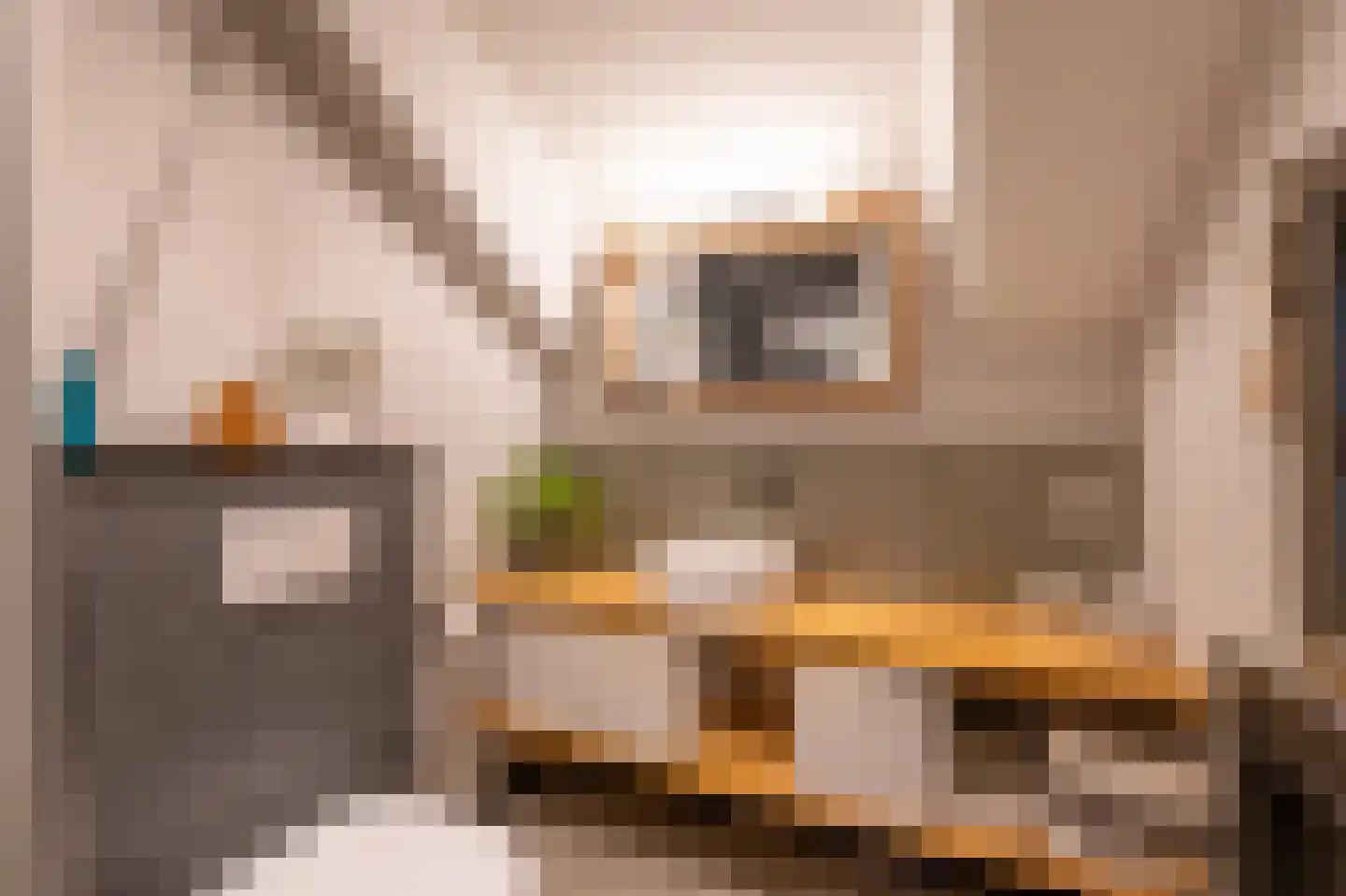 Meentweg 3 Blaricum thumbnail 23