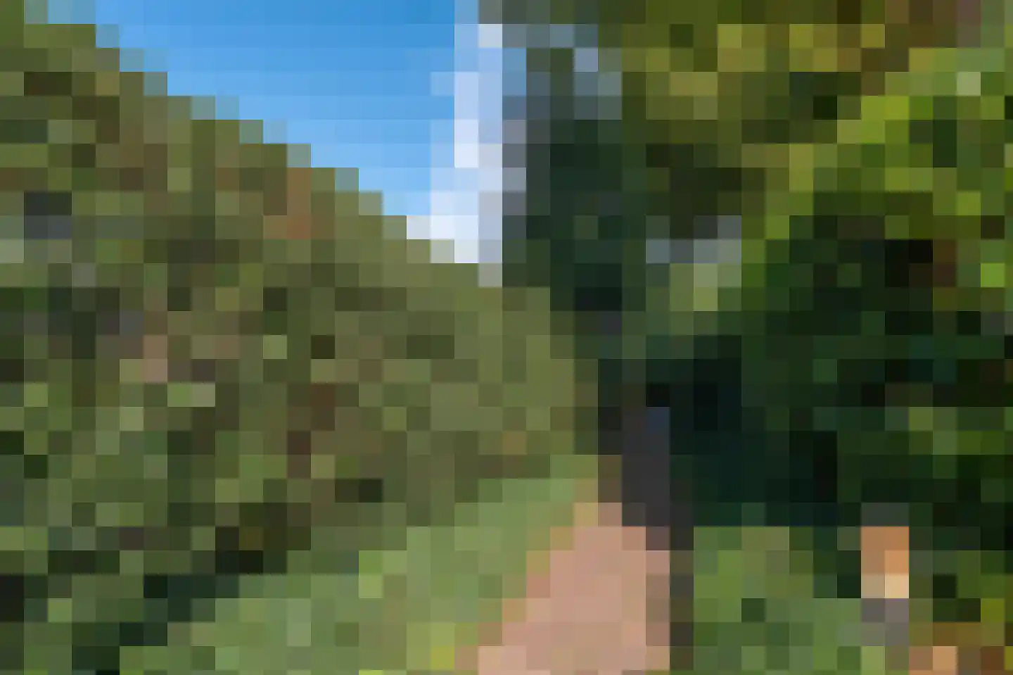 Meentweg 3 Blaricum thumbnail 39