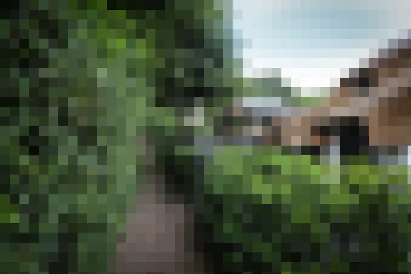 Meentweg 3 Blaricum thumbnail 5