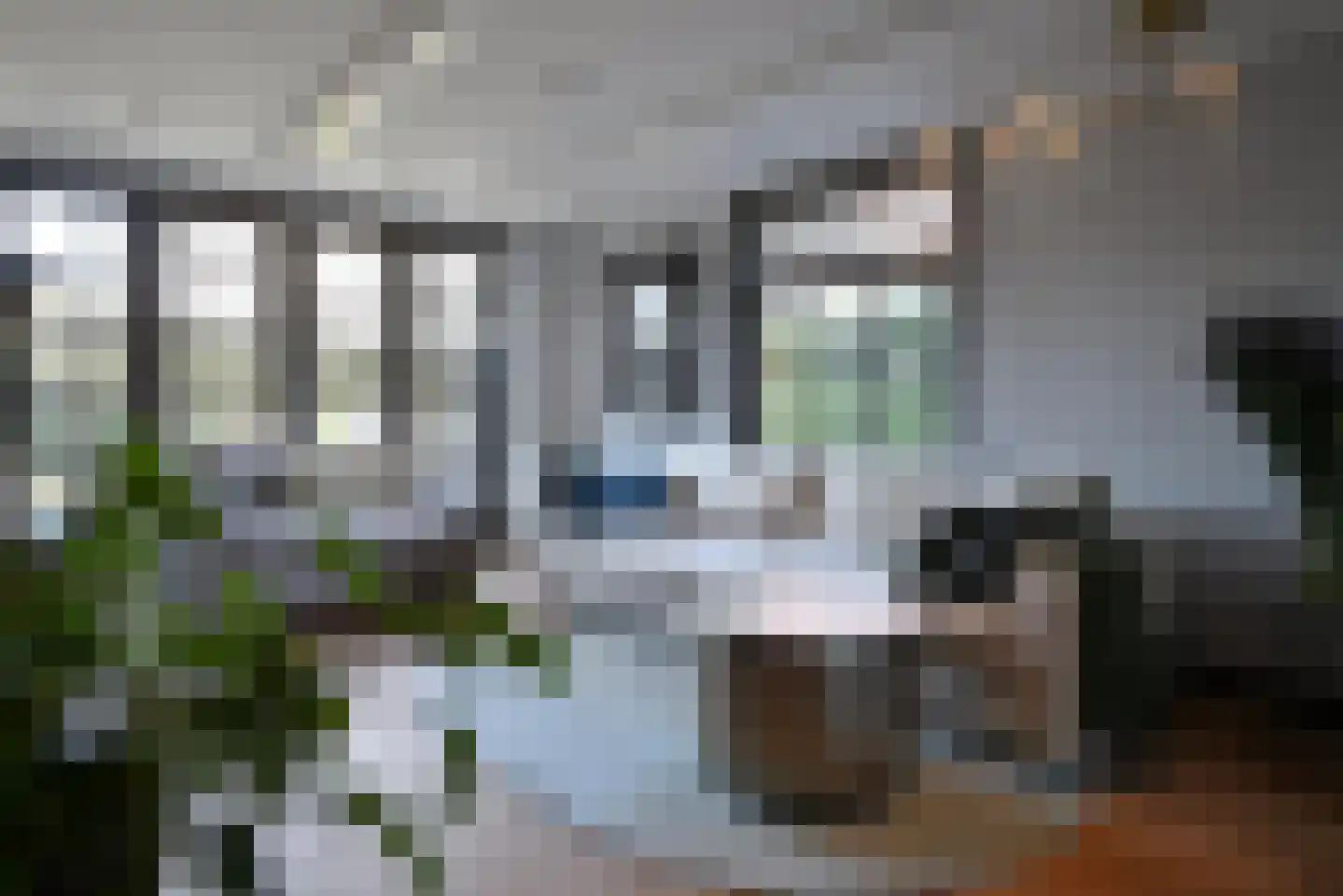 Meentweg 3 Blaricum thumbnail 9