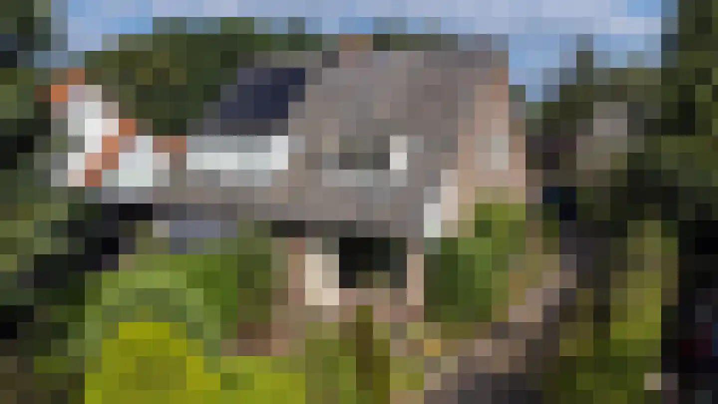 Meentweg 30 Blaricum