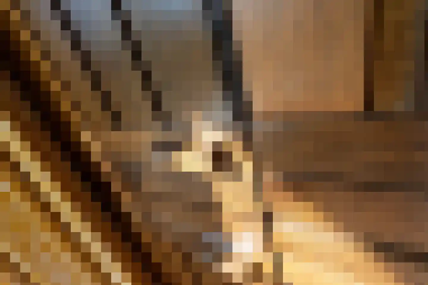 Meentweg 30 Blaricum thumbnail 14