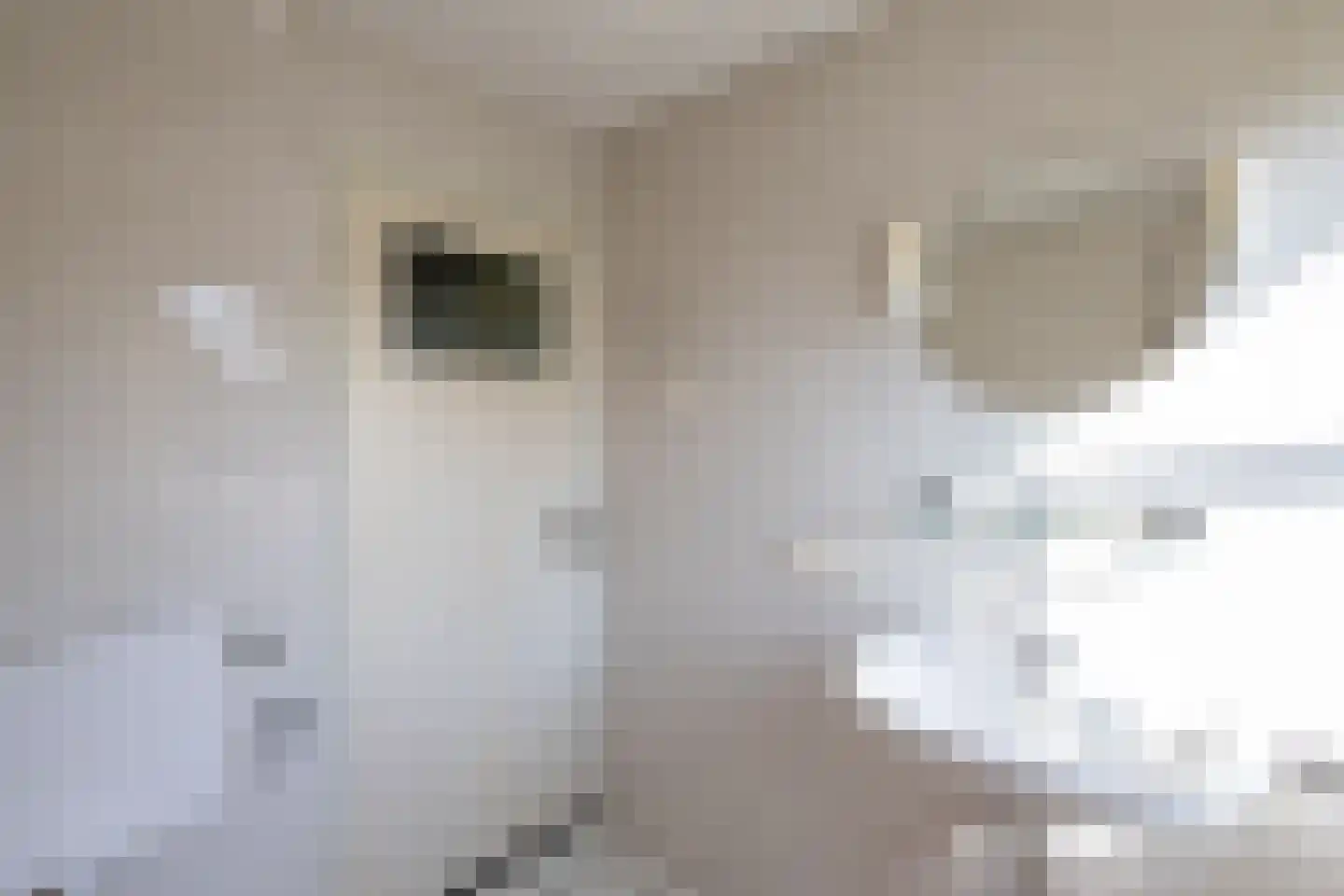Meentweg 30 Blaricum thumbnail 23