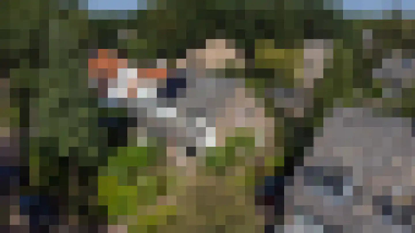 Meentweg 30 Blaricum thumbnail 31