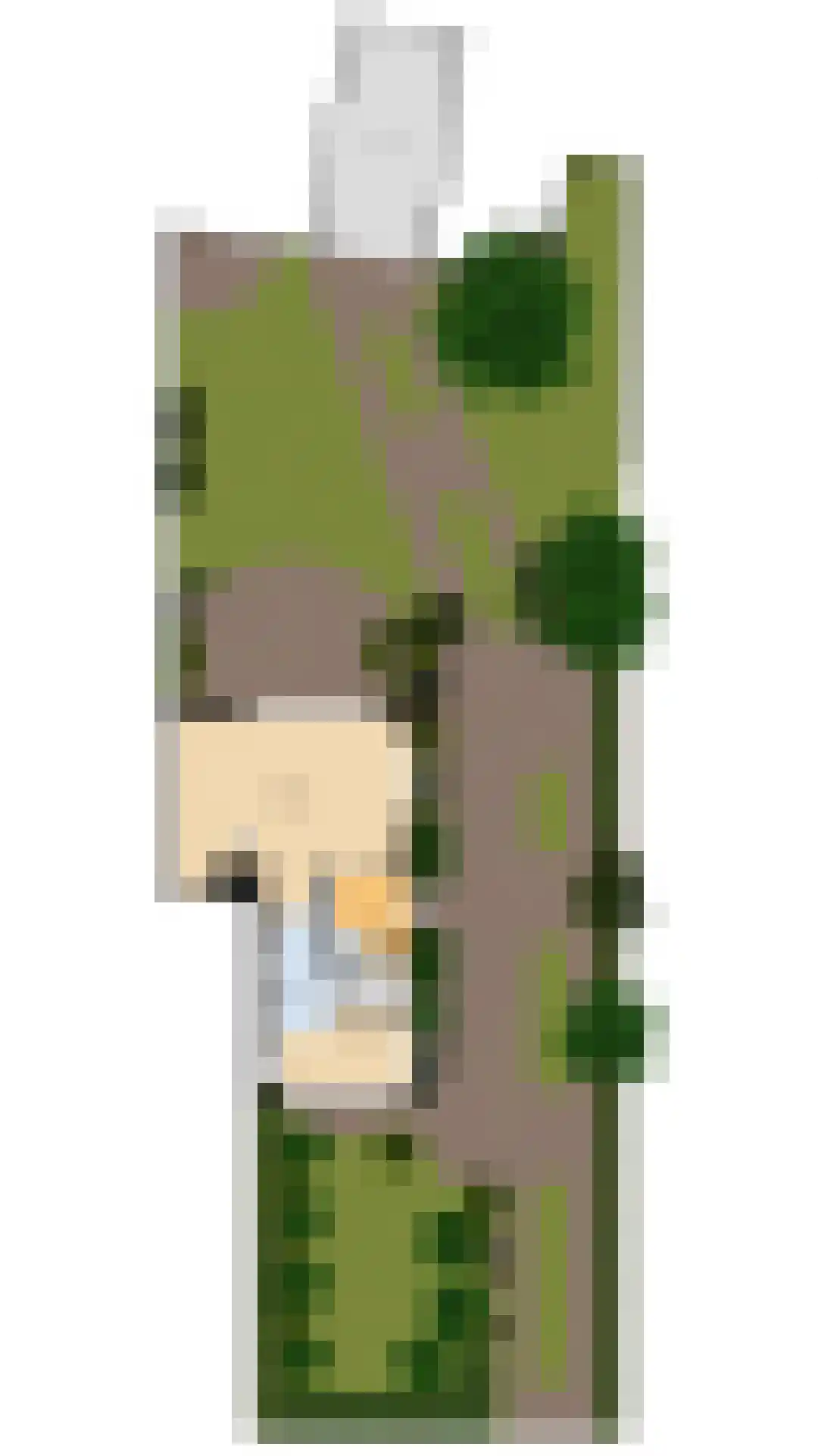 Meentweg 30 Blaricum thumbnail 34