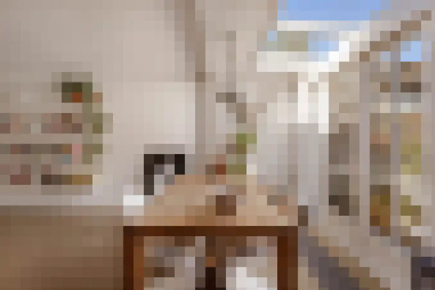 Meentweg 37 Huizen thumbnail 11