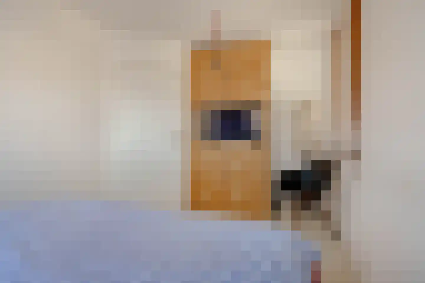 Meentweg 37 Huizen thumbnail 20