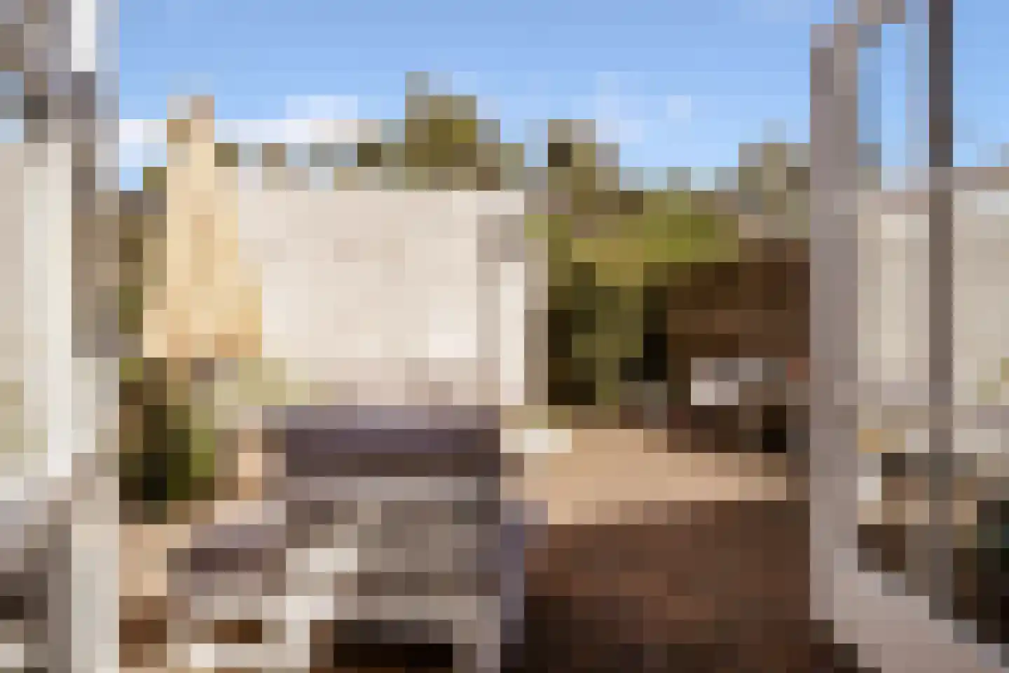 Meentweg 37 Huizen thumbnail 28