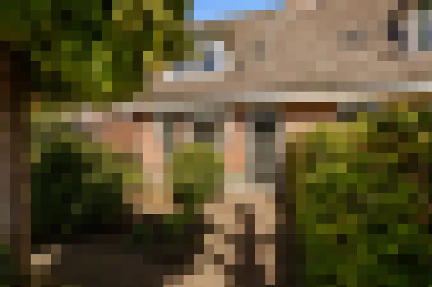 Meentweg 37 Huizen thumbnail 35