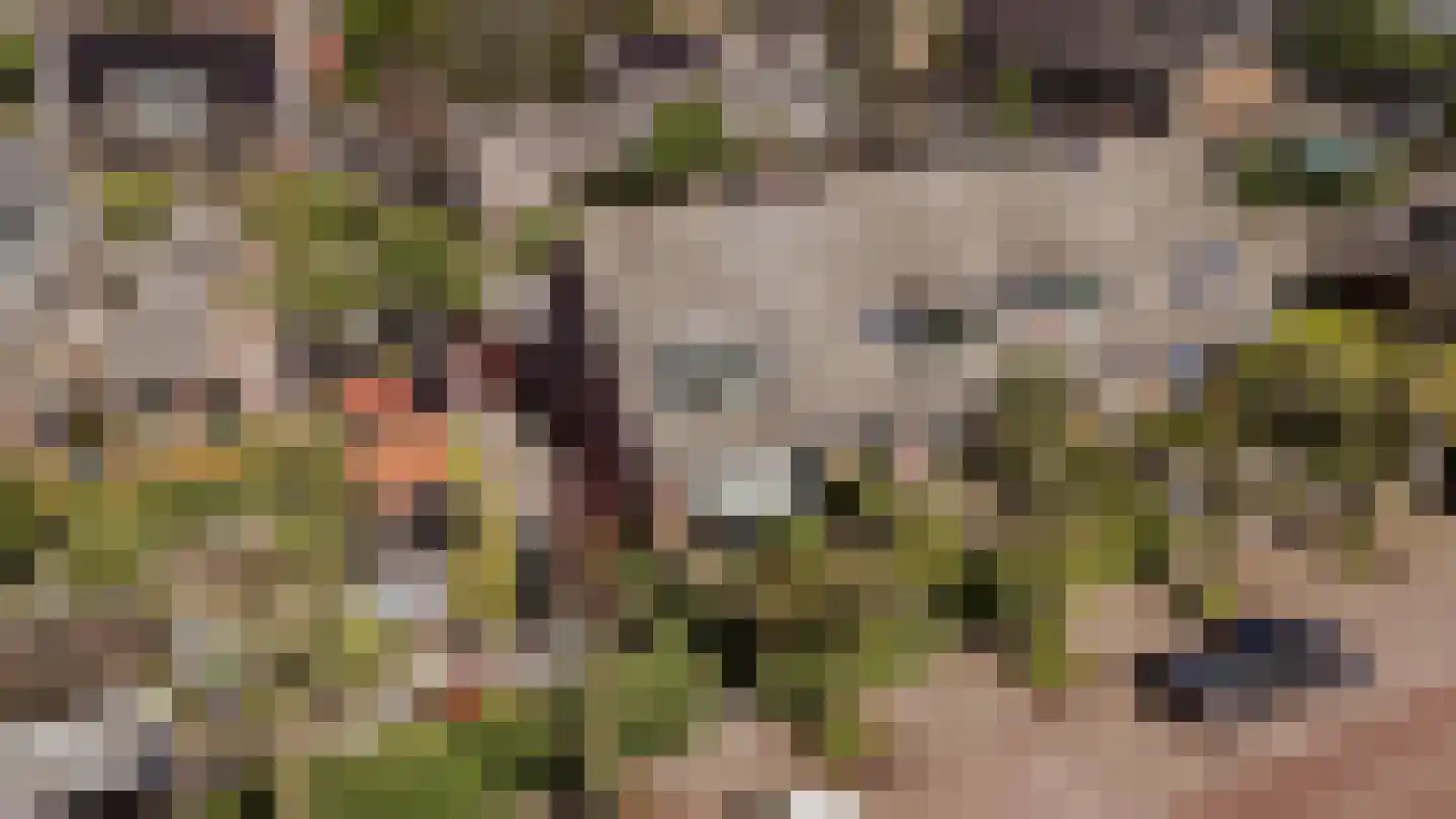 Meentweg 37 Huizen thumbnail 37