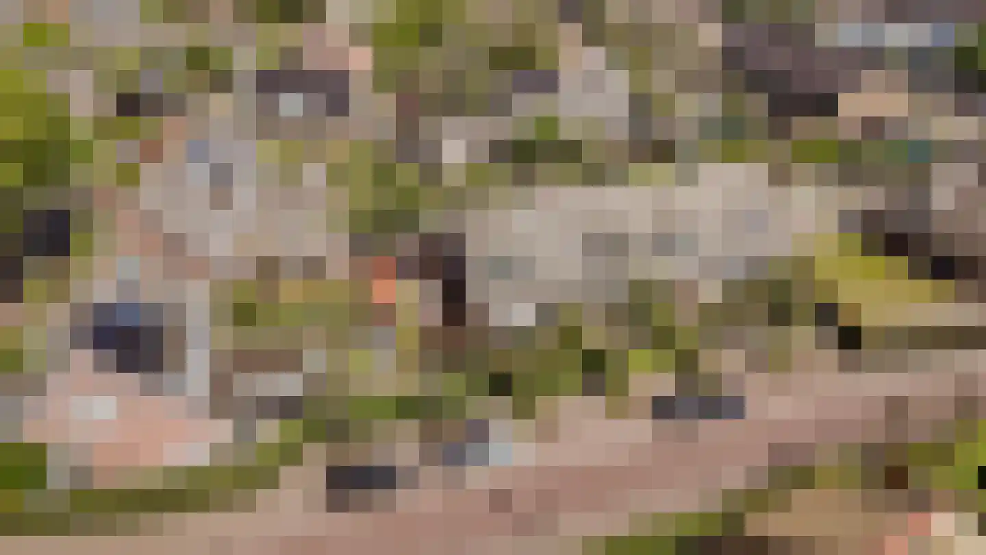 Meentweg 37 Huizen thumbnail 38