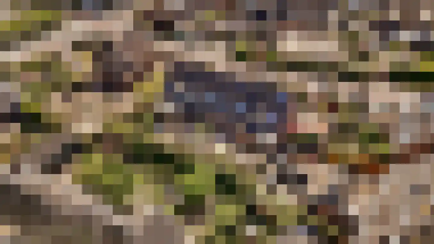 Meentweg 37 Huizen thumbnail 40