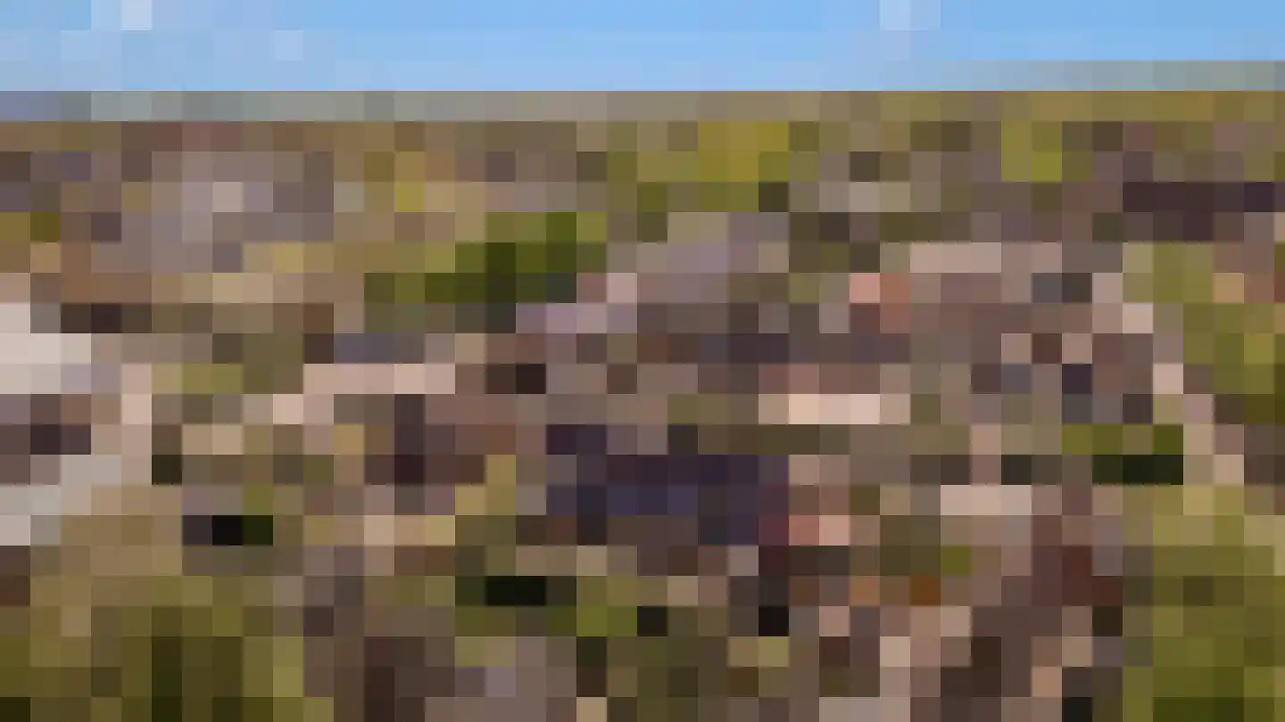 Meentweg 37 Huizen thumbnail 42