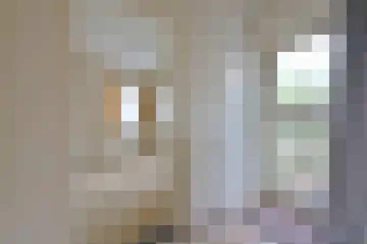 Meentweg 43 a Blaricum thumbnail 12