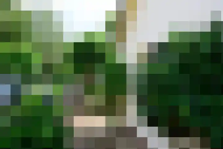 Meentweg 43 a Blaricum thumbnail 18