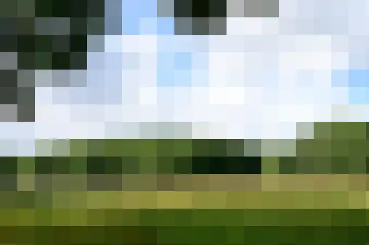 Meentweg 43 a Blaricum thumbnail 19