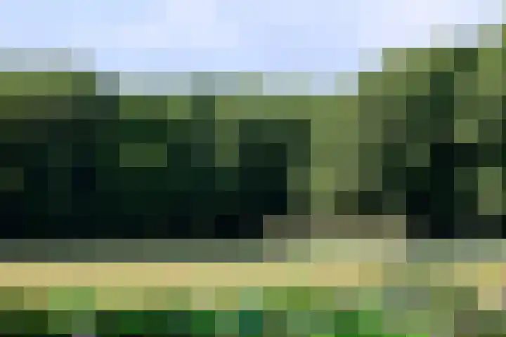 Meentweg 43 a Blaricum thumbnail 20