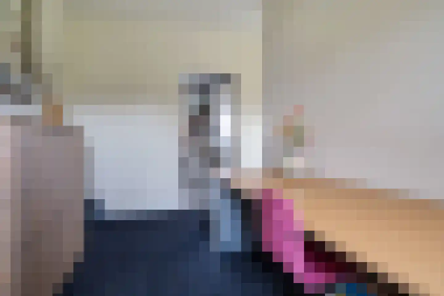 Meentweg 43 Kootwijkerbroek thumbnail 24
