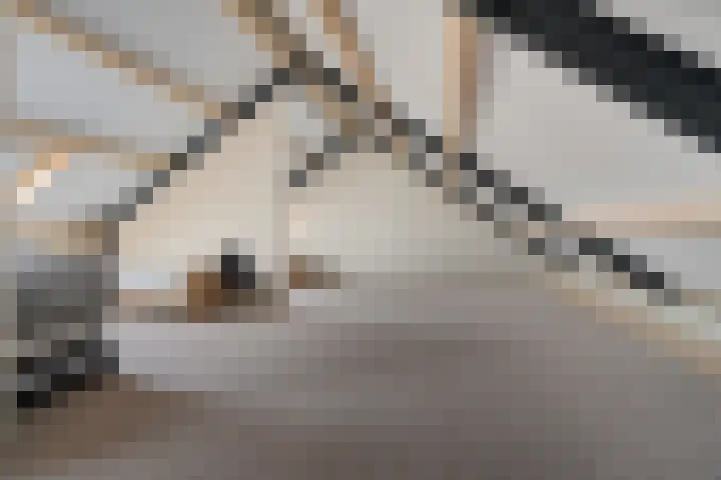 Meentweg 43 Kootwijkerbroek thumbnail 35