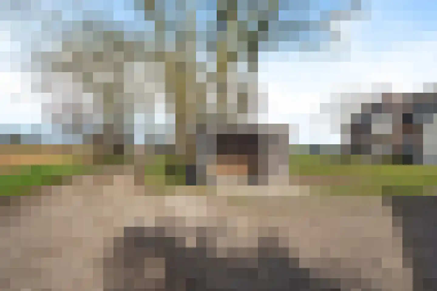 Meentweg 43 Kootwijkerbroek thumbnail 44